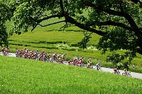 Fahrerfeld
GP des Kantons Aargau, UCI Europe Tour  2005
[� by J�rgen Burkhardt, B�renhofstra�e 25, 70771 Leinfelden-Echterdingen. Telefon 0711/791424, Fax 0711/791437.Postbank Stuttgart(BLZ 600 100 70) Konto 234130-708) www.radsportfoto.de. Bitte zwei Belegexemplare zusenden. Nutzung ist honorarpflichtig gemaess MFM zzgl. 16% MWSt. Drittrechte sind nicht geklaert. NO MODEL RELEASE. Jede Weitergabe dieses Materials an Dritte ohne ausdrueckliche Genehmigung ist untersagt.]

