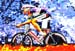 JB1494Voigt_CSCA3-4